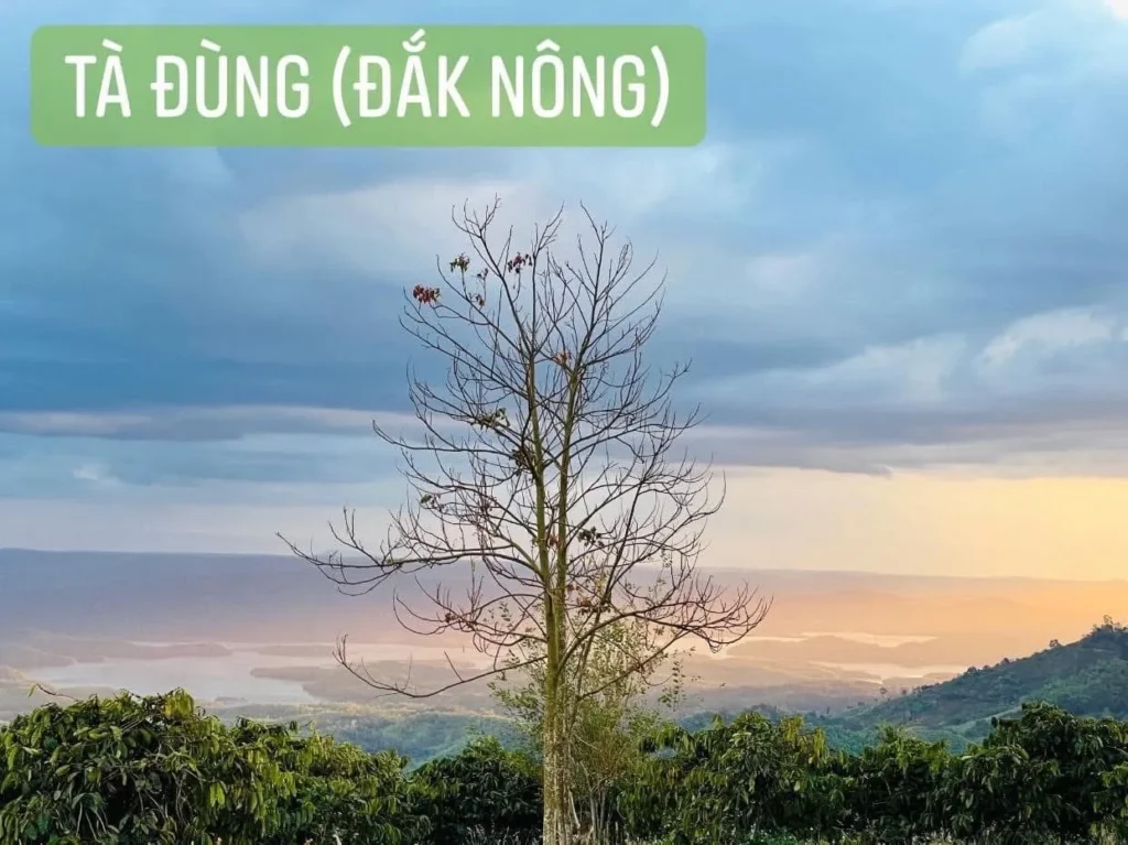 Đất mặt tiền 10m cửa ngõ Tà Đùng - 665m² - 100m² đất ở