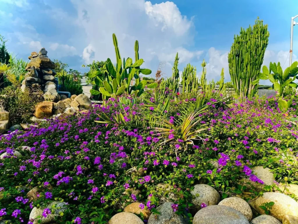 Đất villa nhìn hồ Tà Đùng - hơn 2.000m² - hậu bám hồ 23m - 447m² đất ở