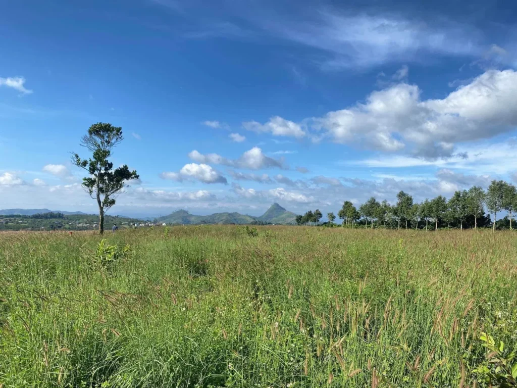 Nhà vườn nhìn hồ Tà Đùng - 816m² - 400m² đất ở - đã có 2 căn nhà hoàn thiện