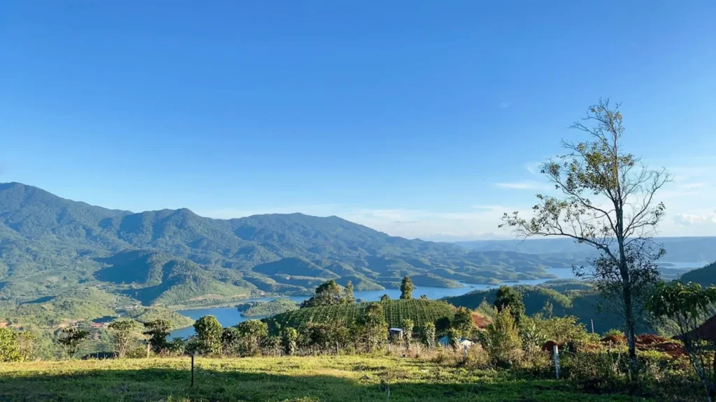 Farm gần 8.000m² nhìn thung lũng Tà Đùng - mặt tiền 42,5m